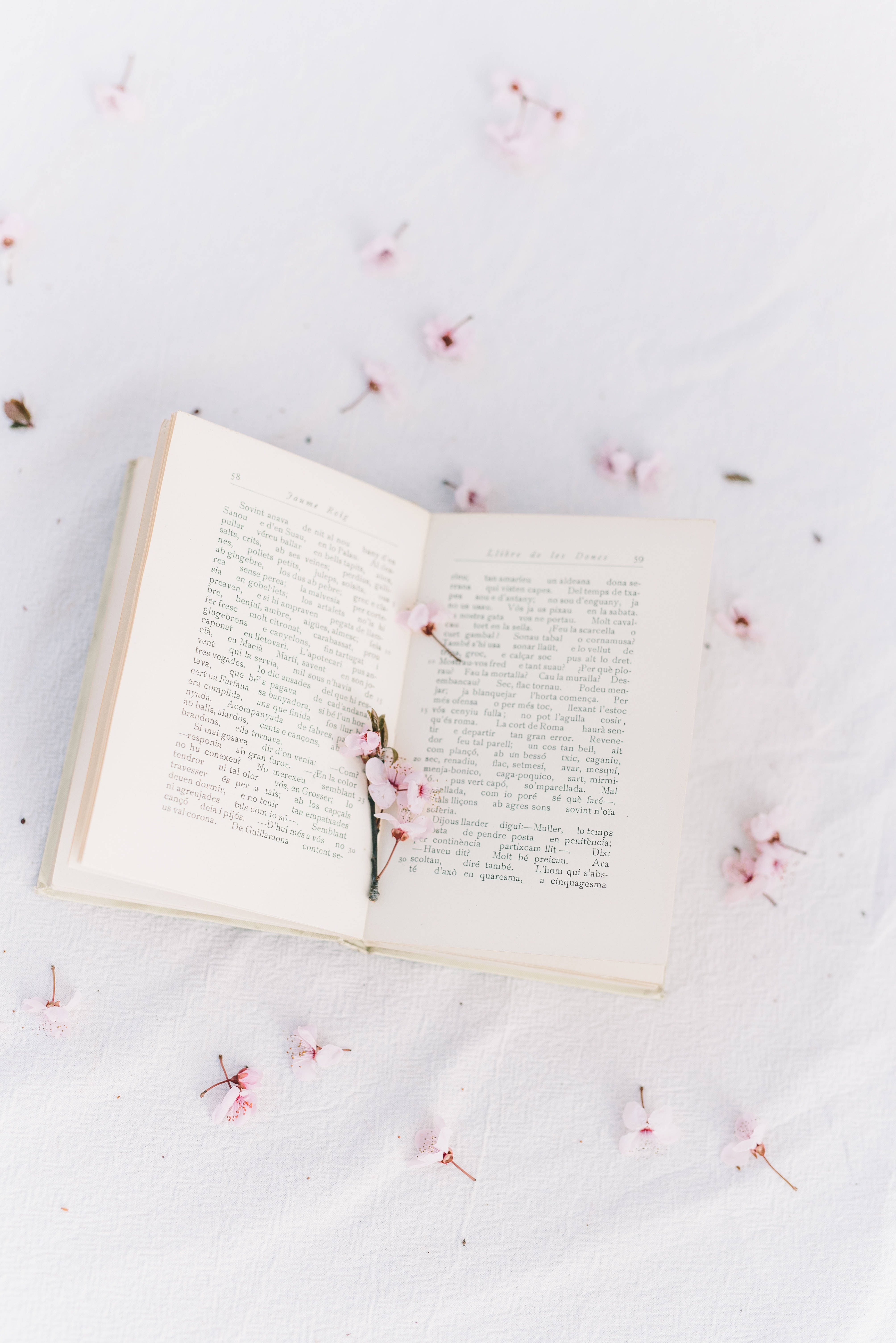 Препі естетика книга з сакурою Шпалери