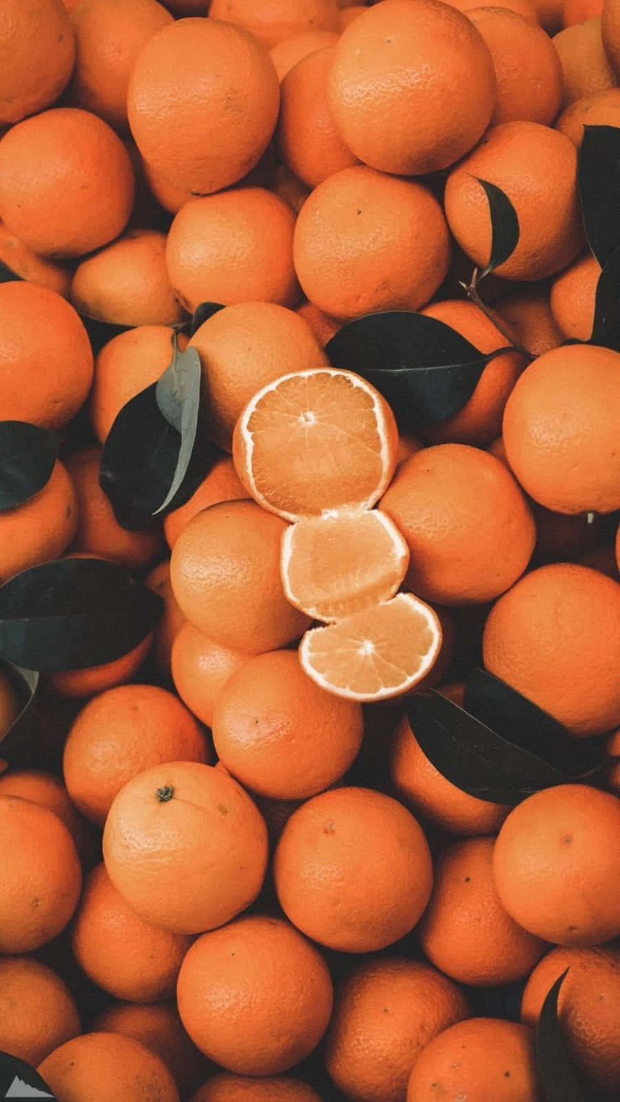 Природная красота бывает разных цветов, включая оранжевый 🍊 Шпалери
