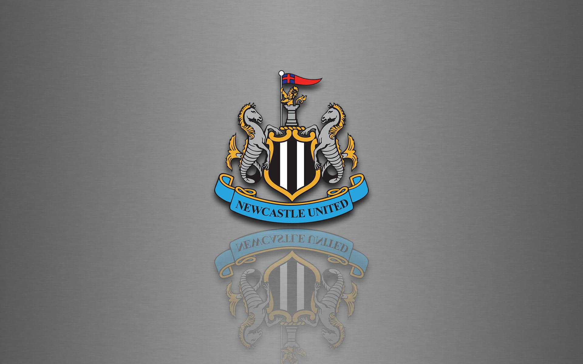 Логотип футбольного клубу Newcastle United, сірий, шпалери для робочого столу.