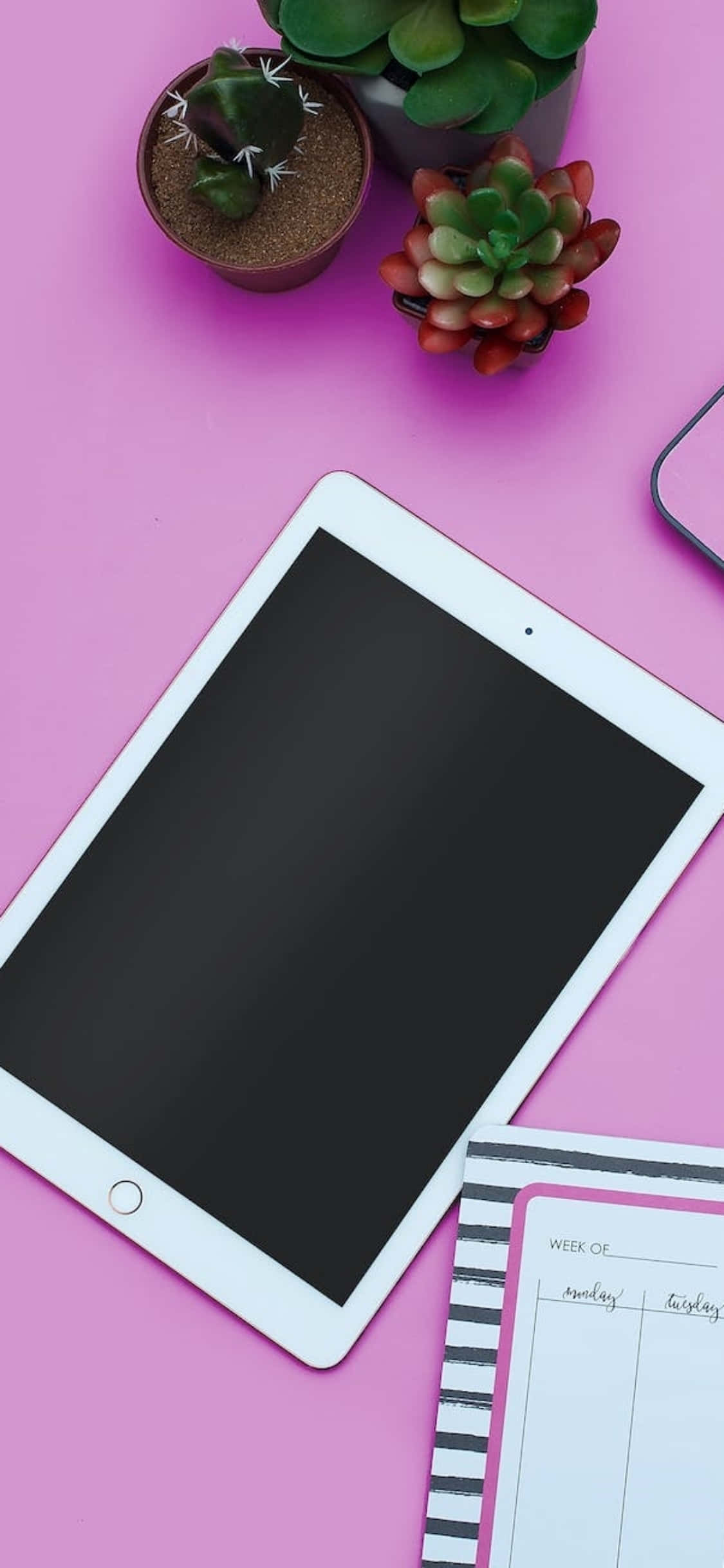 Розовый стол с iPad для iPhone X Шпалери