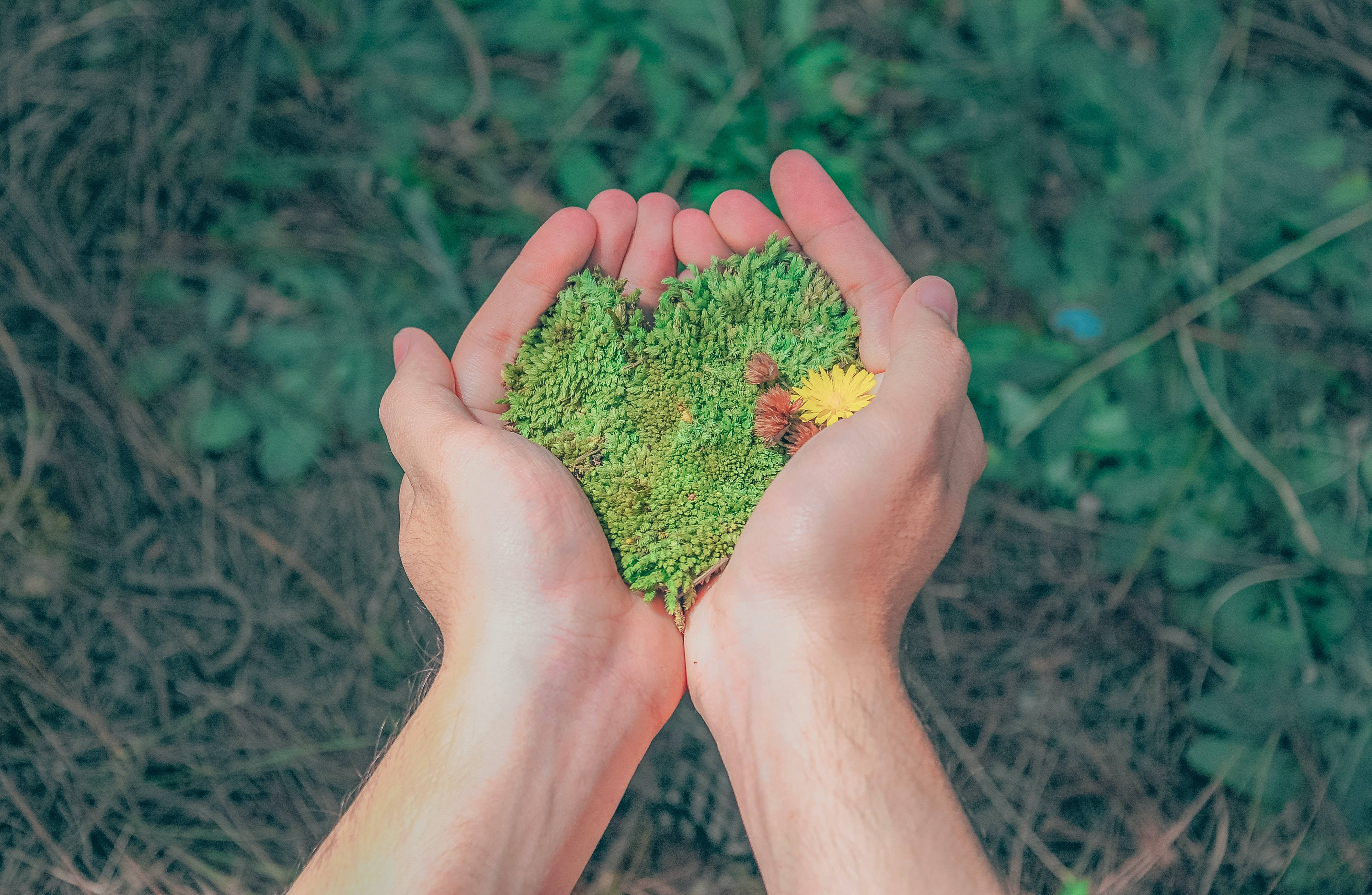 Руки з травою Шпалери