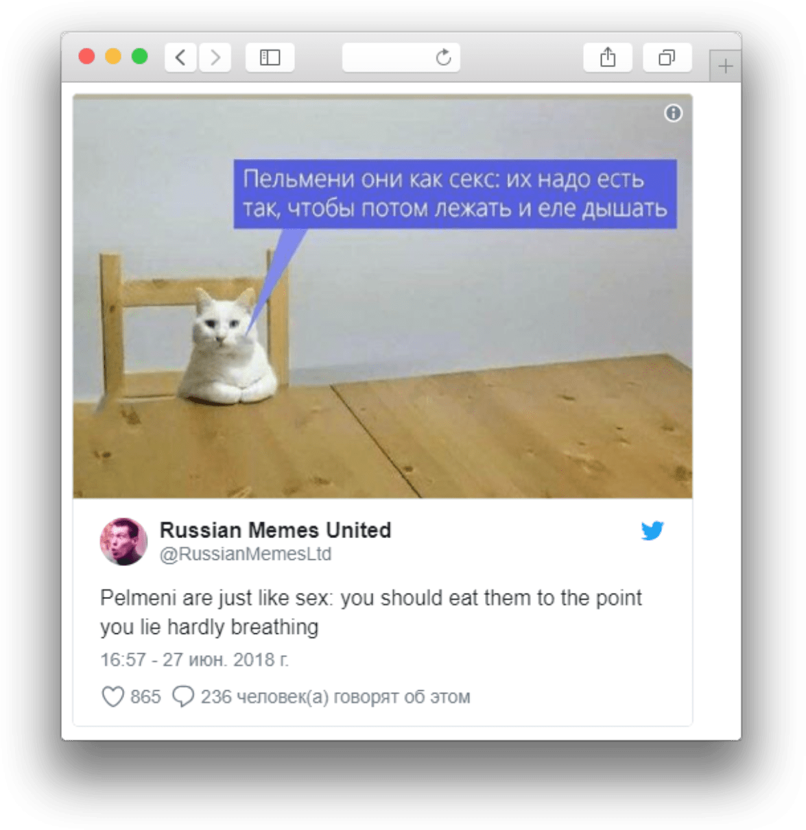 Русский кот мем порівняння пельменей Шпалери