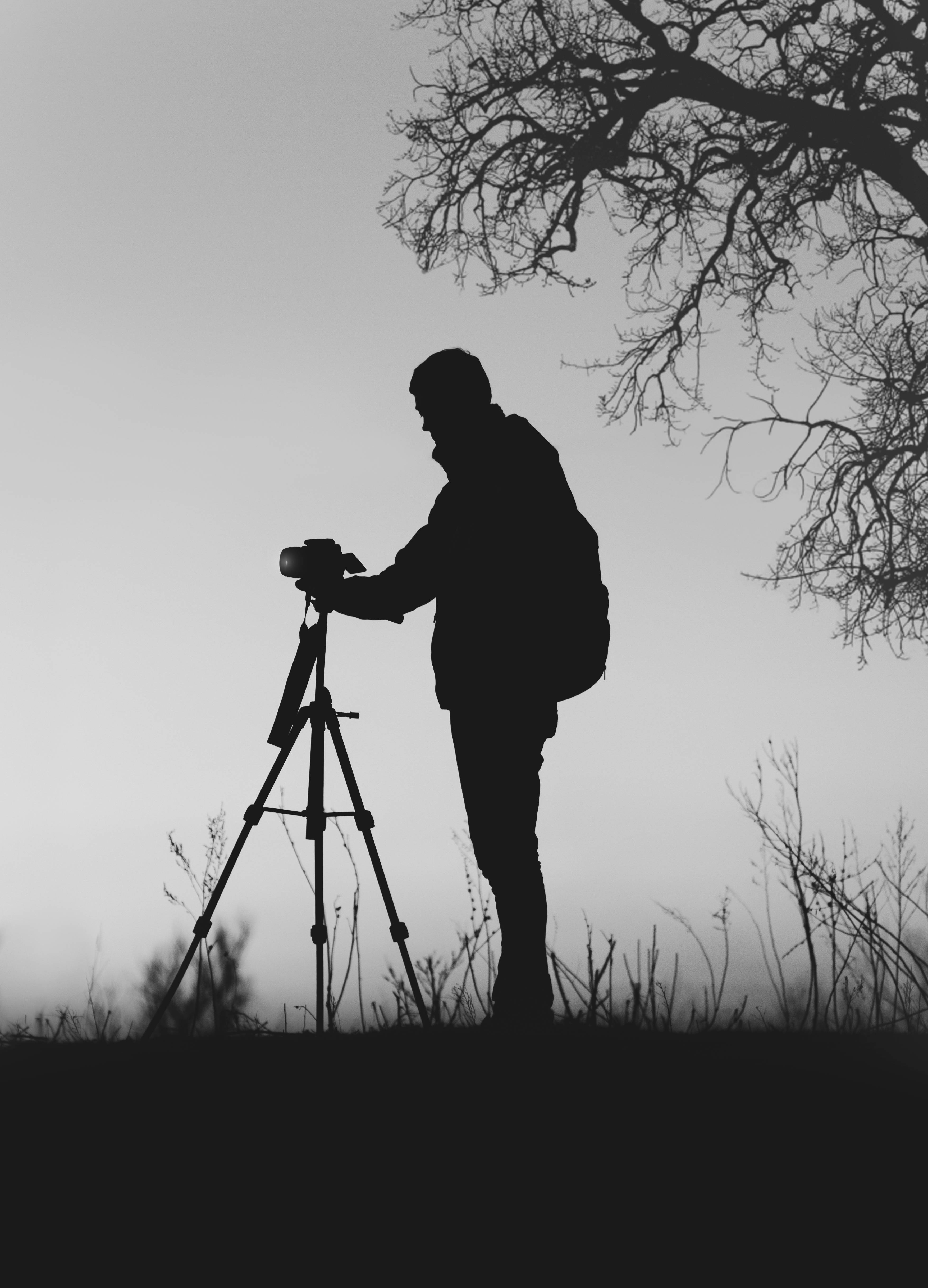 Силуэтная фотография в оттенках серого Шпалери