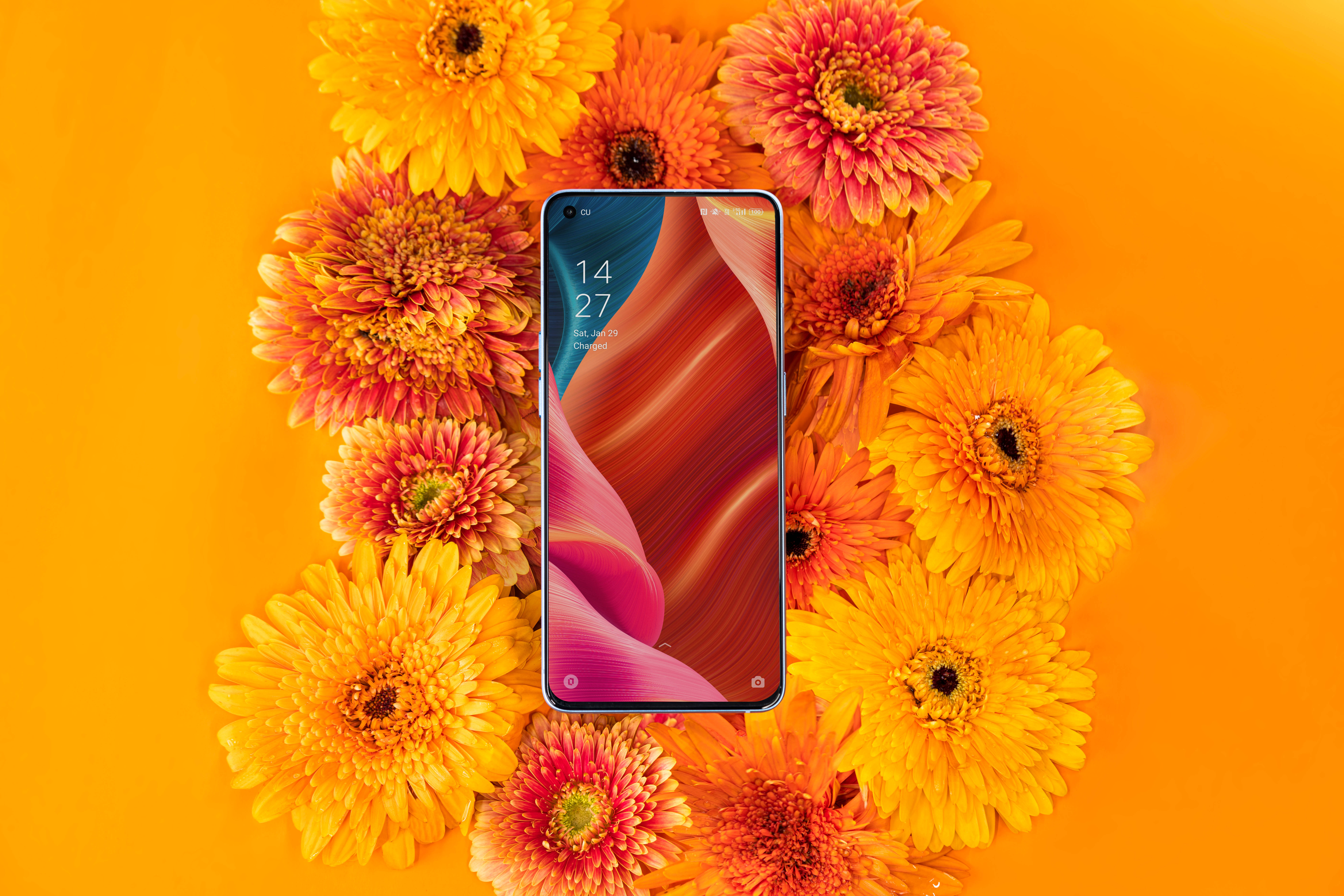 Смартфон Oppo і квітуча флора Шпалери
