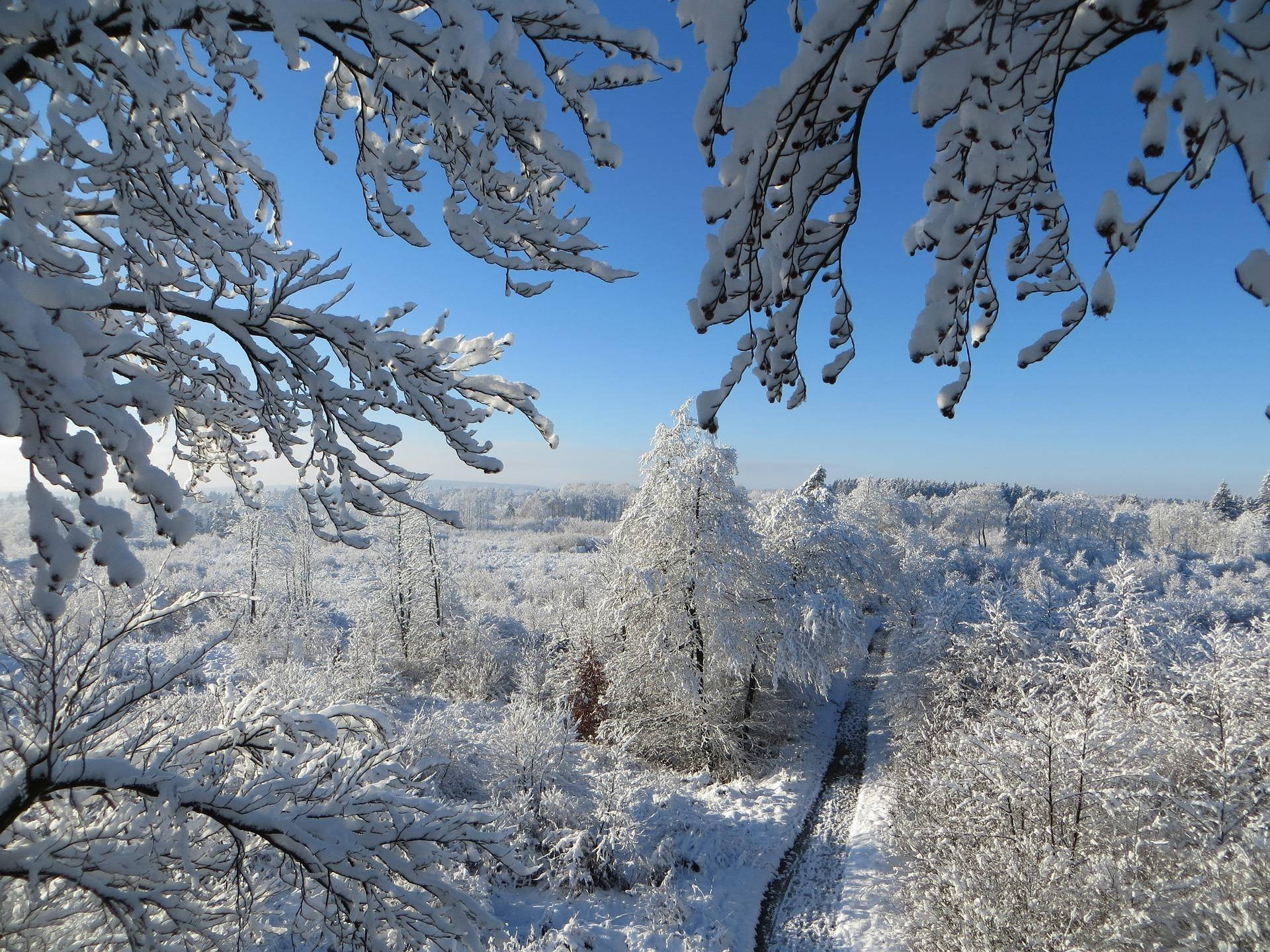 Сніговий естетичний краєвид Шпалери