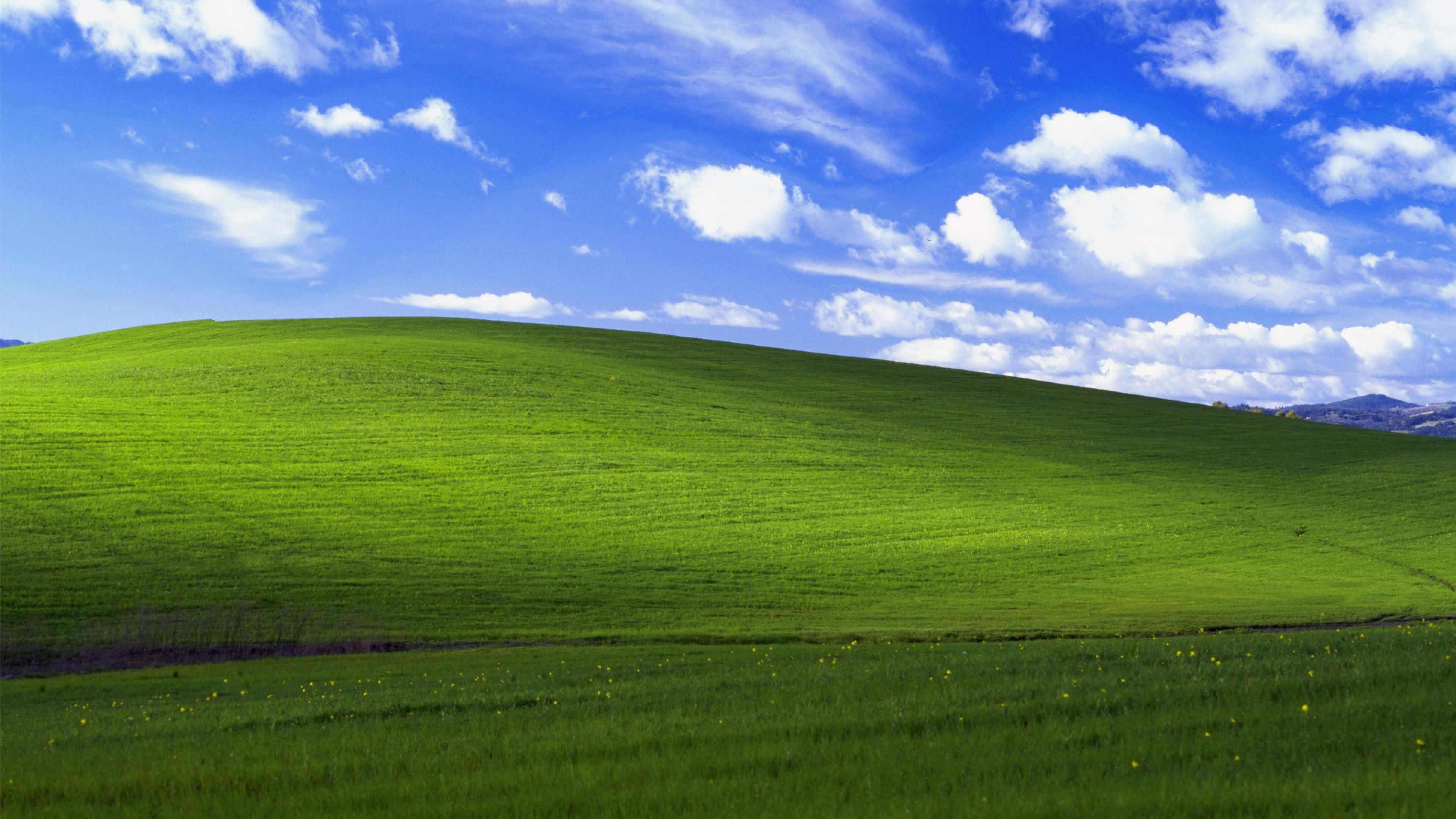 Стандартний Блаженство Windows 1 Шпалери