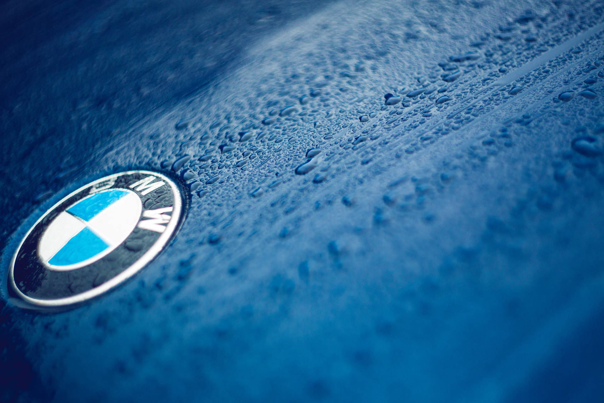 Шпалери крупним планом логотипа BMW на синьому автомобілі з краплями — Bmw Шпалери