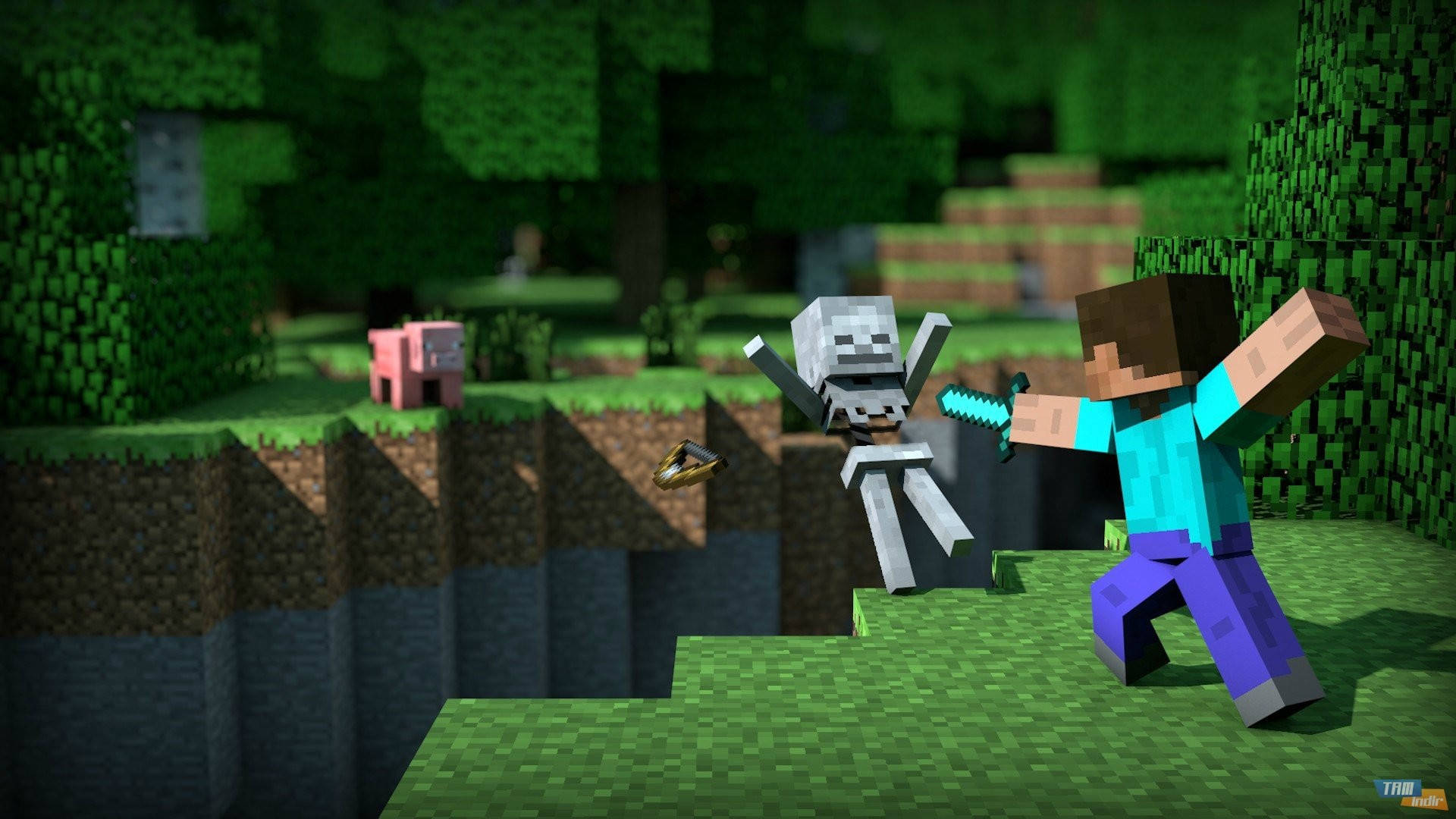 Стів б'ється зі скелетом Minecraft HD Шпалери
