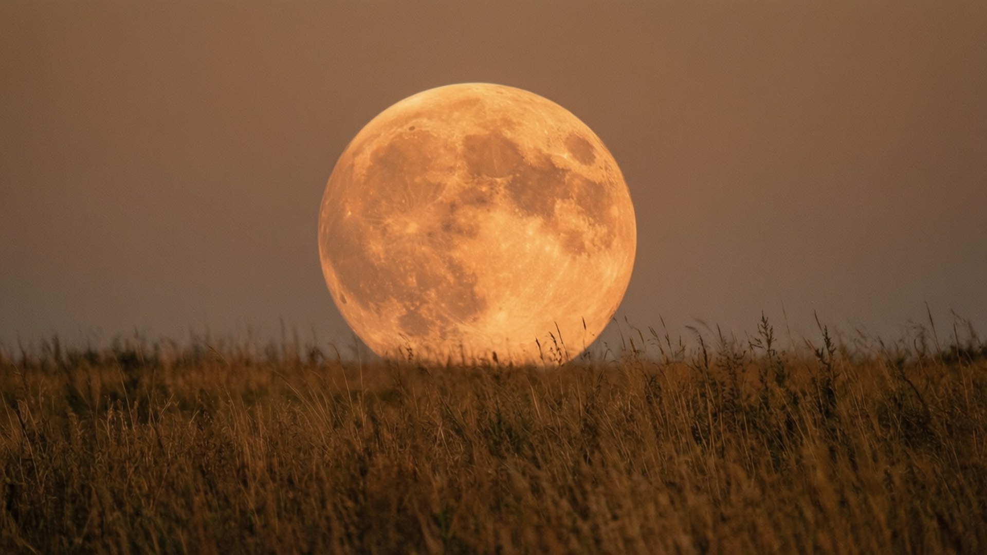 Сяйво врожайного місяця Шпалери