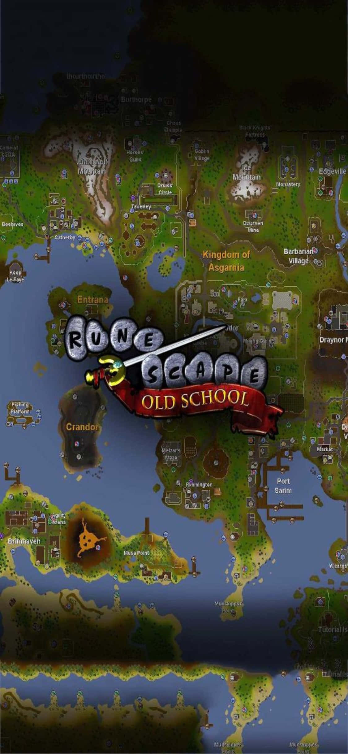 Тайлмап в iPhone X Runescape Oldschool фон Шпалери