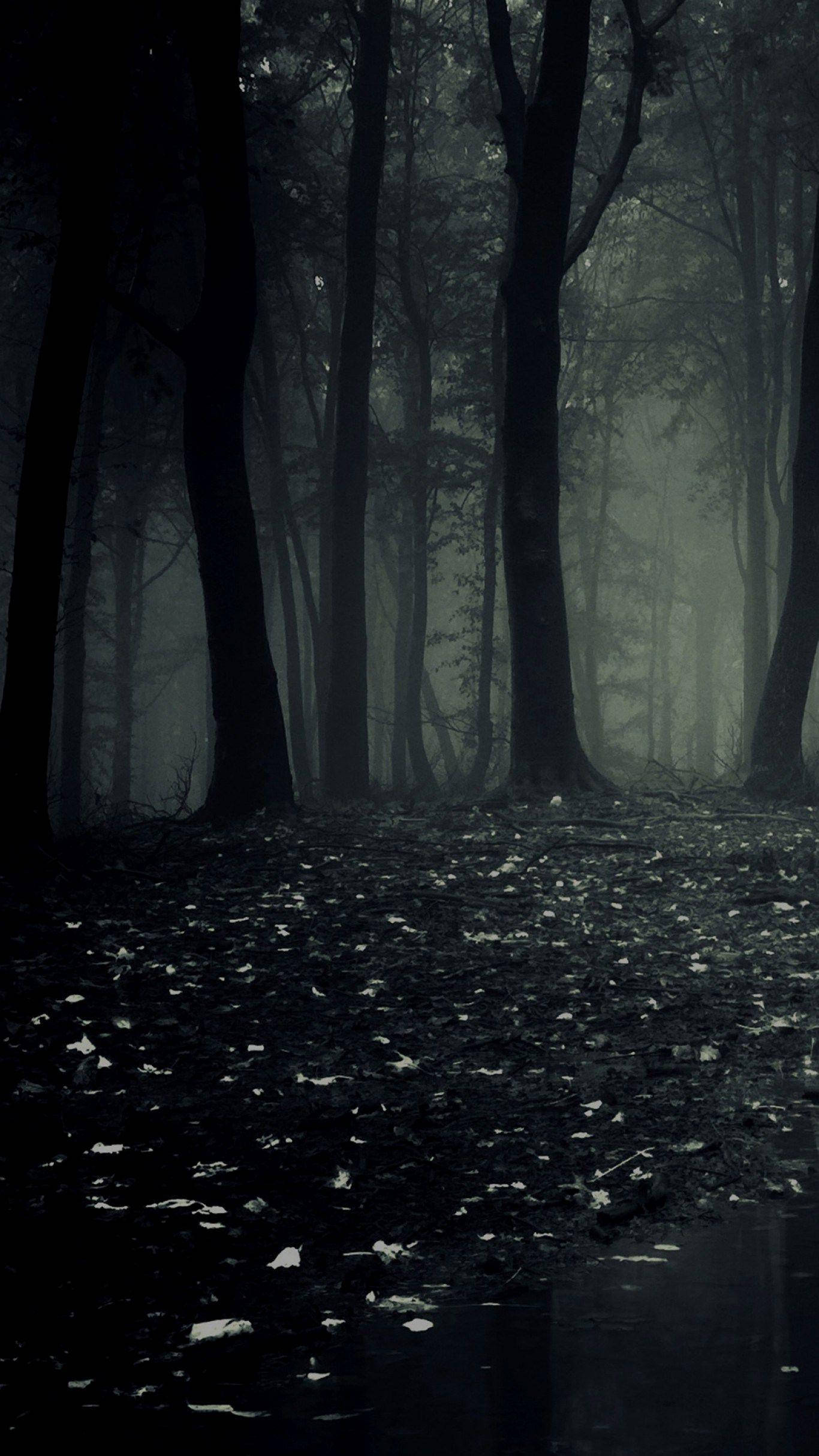Темний телефон у моторошному лісі Шпалери
