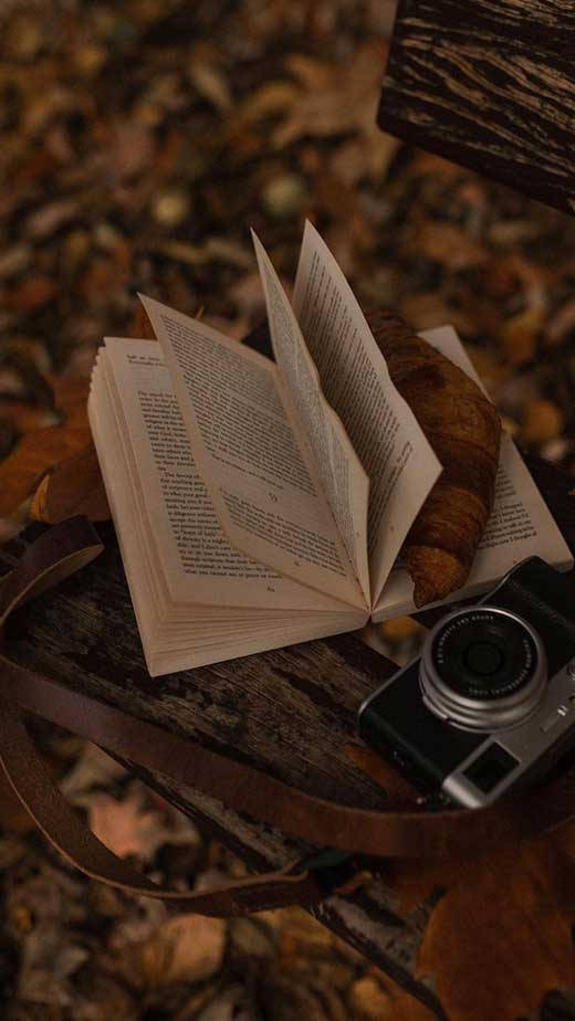 Темно-коричнева естетика книги та камери Шпалери