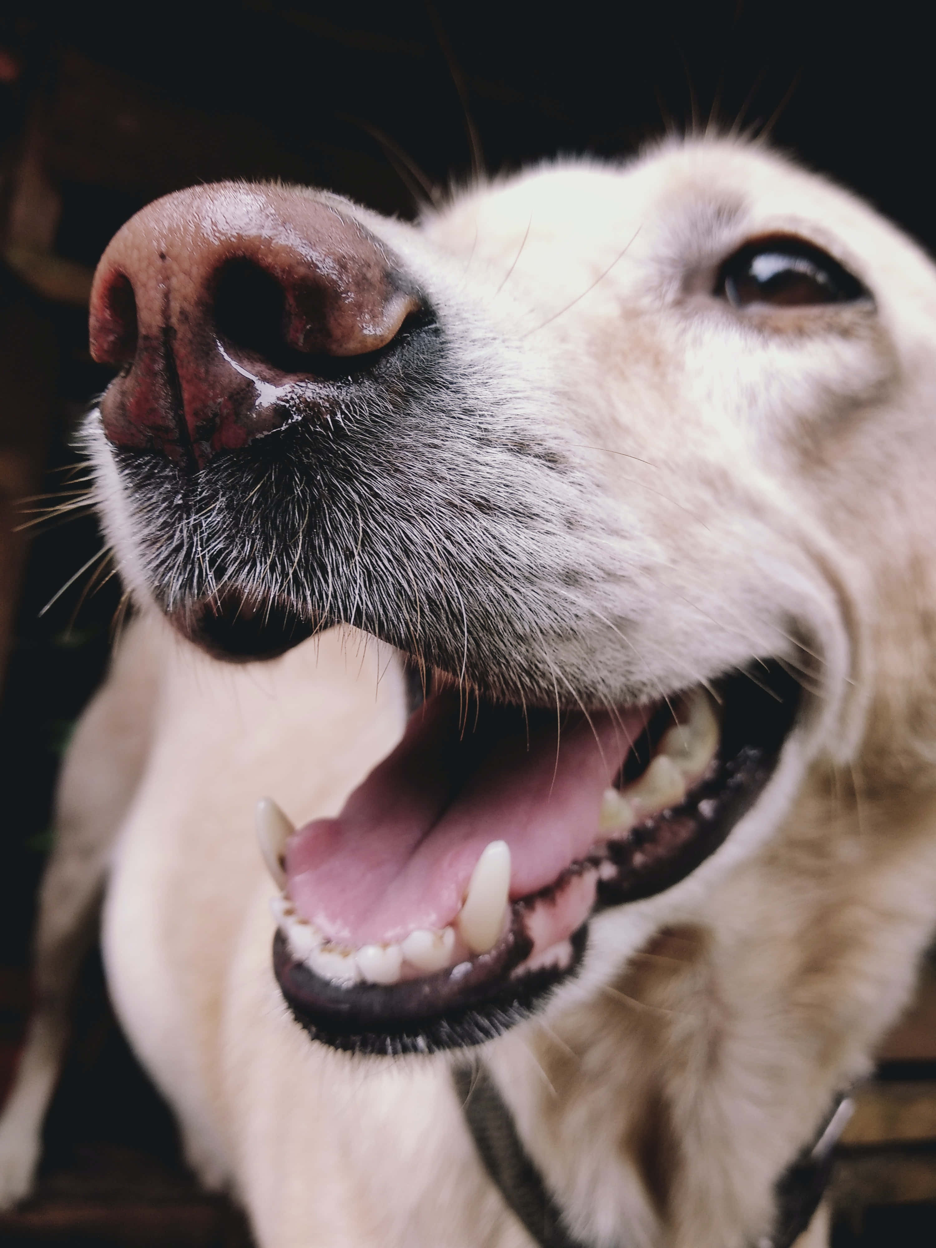 «У кого-то еще тяжелый день?» Шпалери