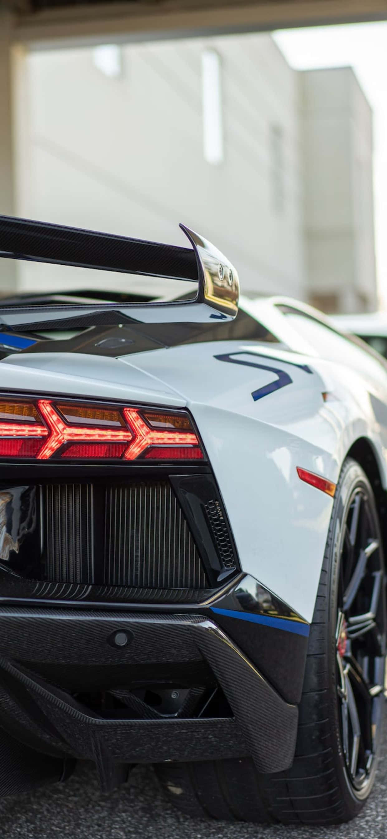 Фон iPhone XS Max с белым Lamborghini сзади Шпалери