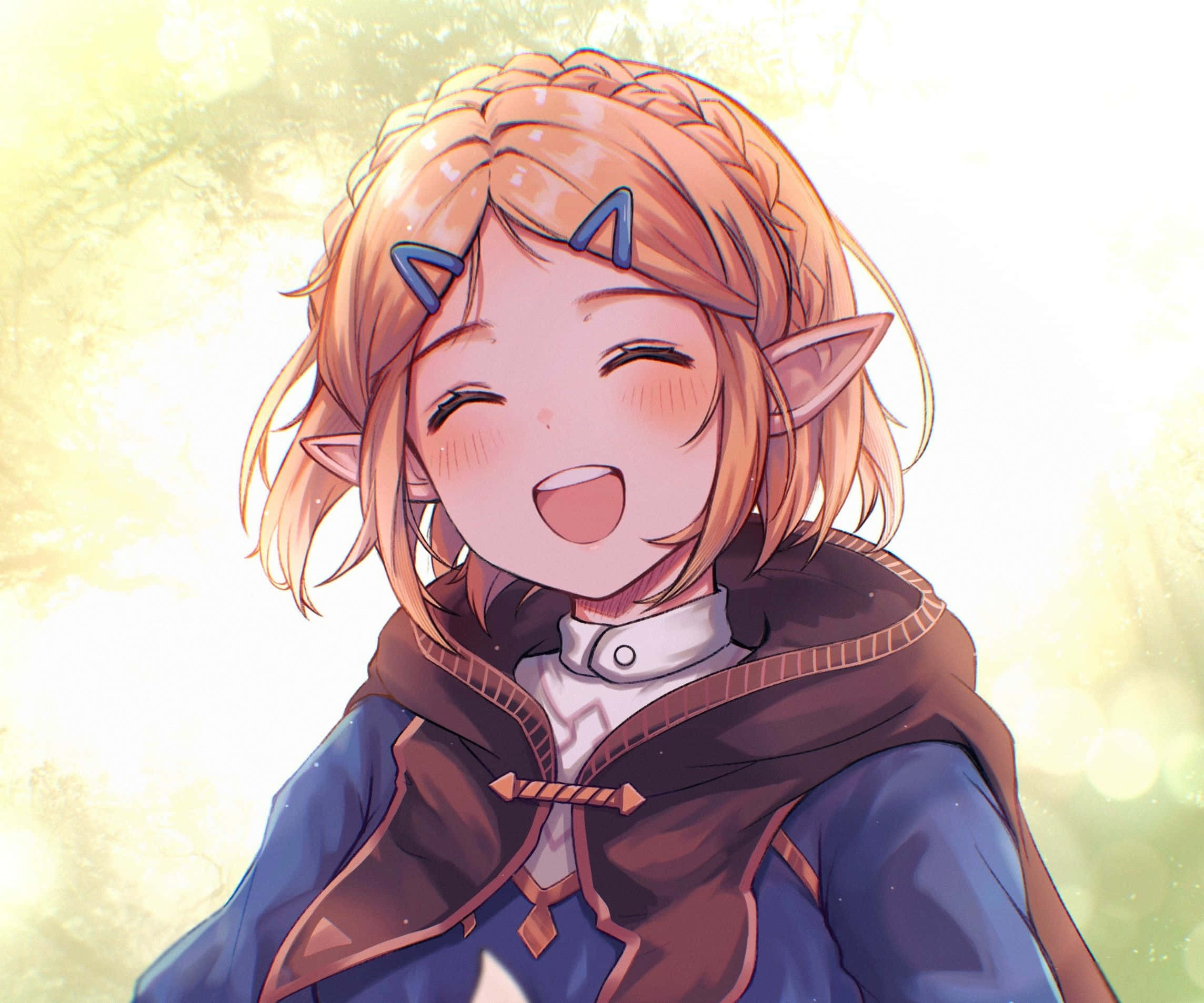 Фон Zelda Шпалери