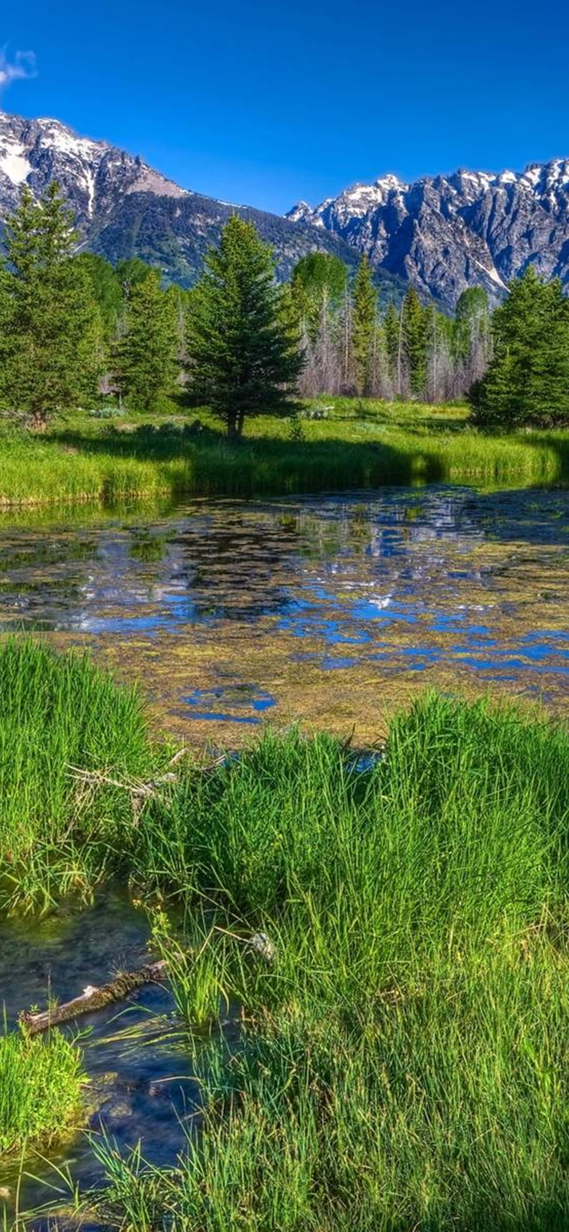 iPhone Xs Desktop Pc Nature Background Шпалери