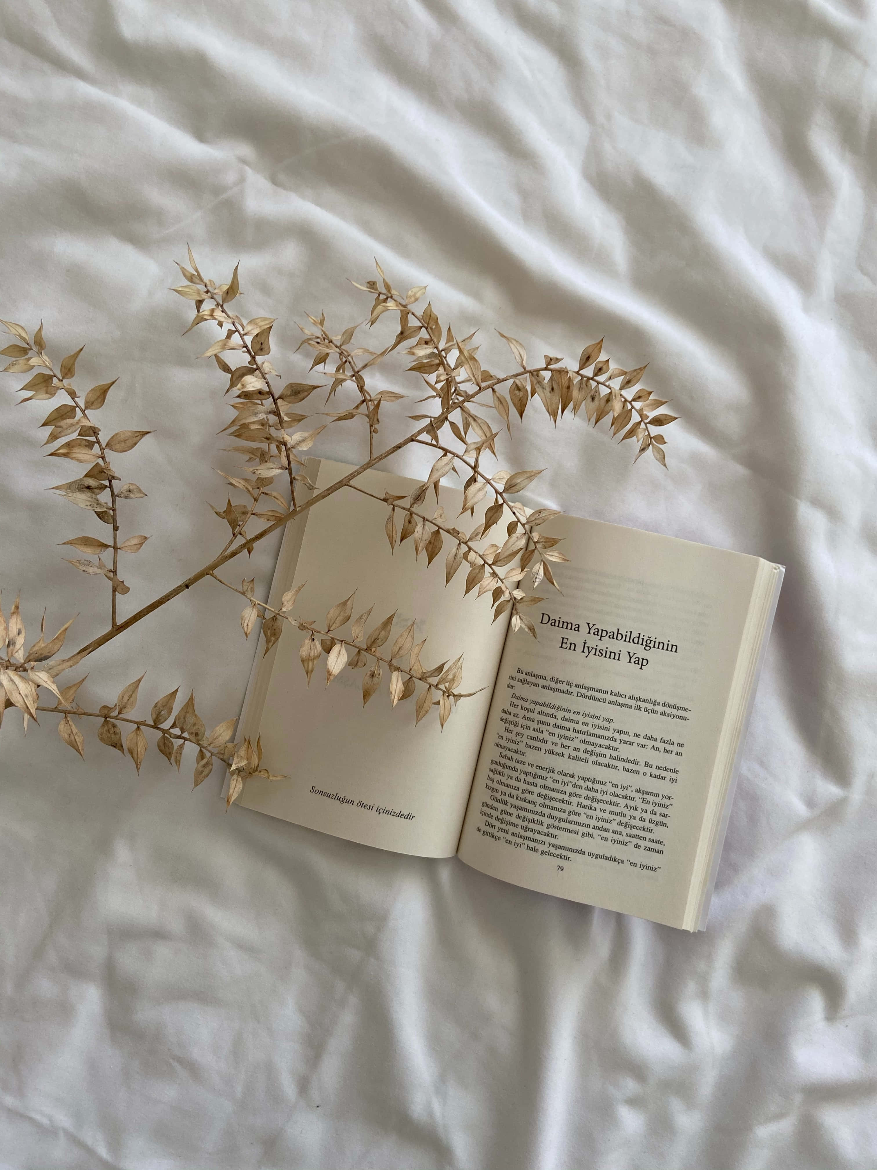 Чашка кави та відкрита книга — ідеальний день для засвоєння нових знань. Шпалери