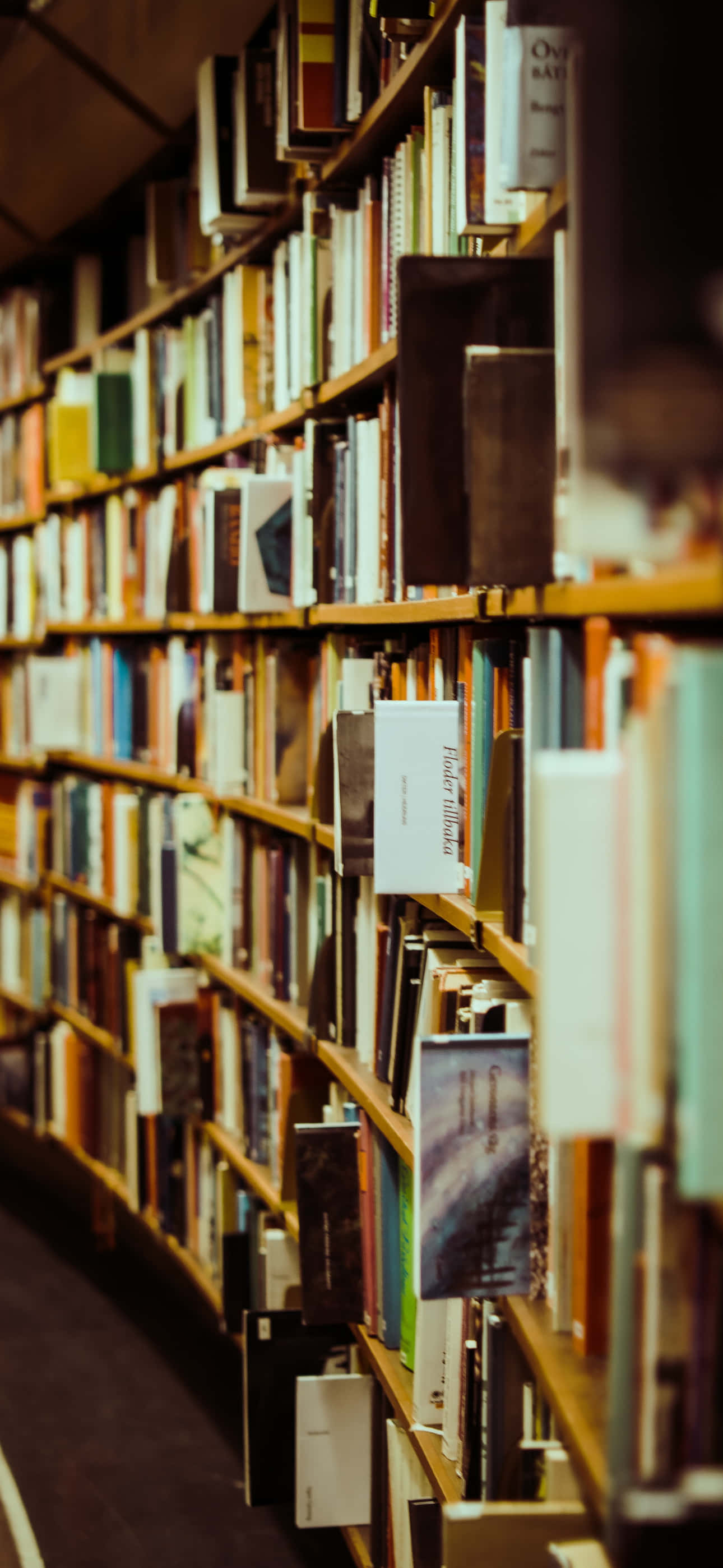 Читай книги, розгадай тайни Шпалери