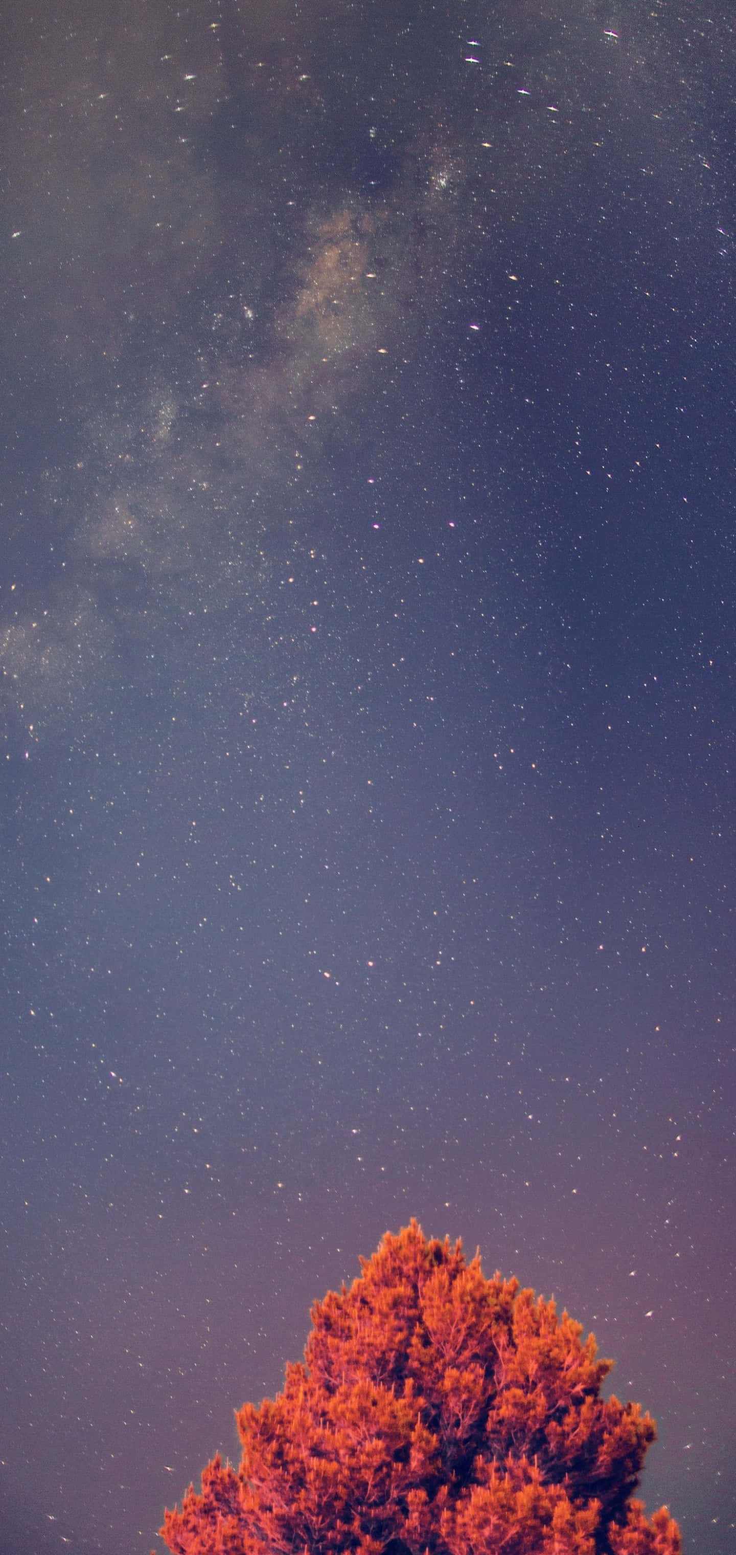 Шпалери для Galaxy S10 Plus Шпалери