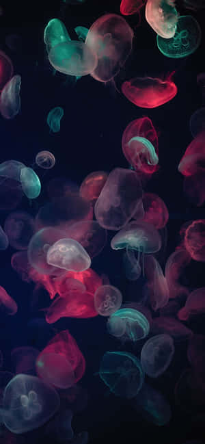 1170x2532 — 1170x2532 Шпалери