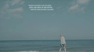 BTS Ноутбук Spring Day Текст — Bts ноутбук Шпалери
