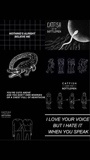 Catfish And The Bottlemen Альт Естетика