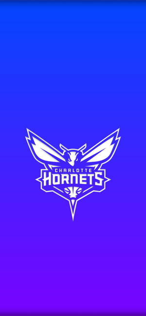 Charlotte Hornets Градиентный синий обої — iPhone 17 Шпалери