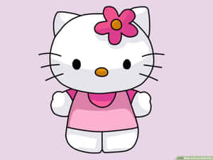 Hello Kitty фото — Естетика Hello Kitty Шпалери
