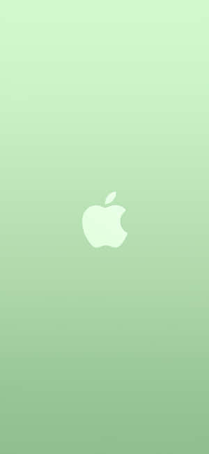 iPhone 11 Green — Pixel 7 Pro Шпалери