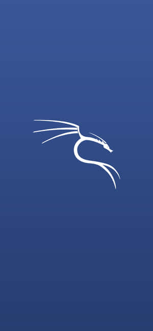 Фон Kali Linux — Honor Play Шпалери