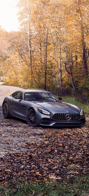 Mercedes AMG iPhone осенние деревья — iPhone 14 Plus Шпалери