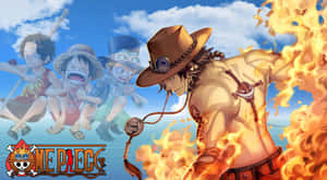 Зображення One Piece — One Piece 4K гіф Шпалери