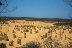 Perth Yanchep National Park wallpaper — Рассвет Шпалери
