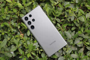 Samsung S23 Ultra на фоні зеленого листя — Samsung Galaxy S22 Шпалери