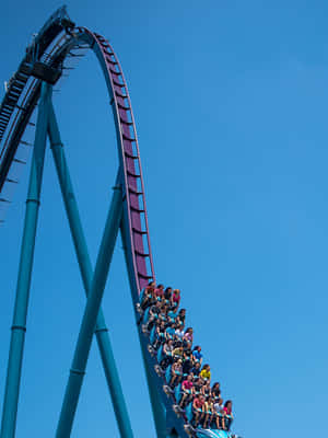 Картинки SeaWorld — iPad 9-го поколения Шпалери