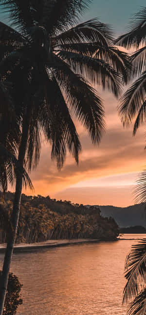 1170x2532 — Vivo X300 Pro Шпалери