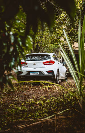 Обои с белым Chevrolet Aveo — Galaxy Tab S9 Ultra Шпалери