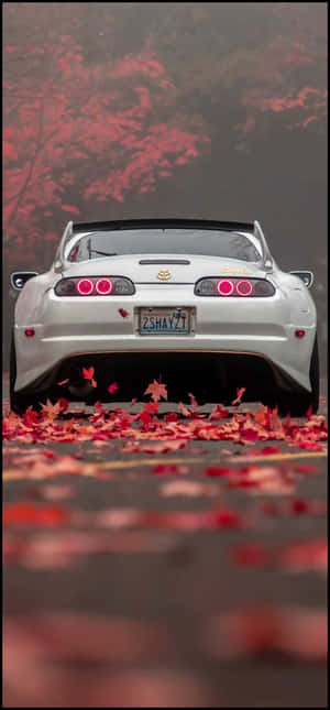 Jdm pictures — Tecno Pop Шпалери