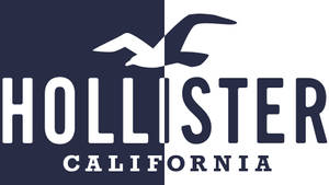Обої двоколірного логотипа Hollister — Chromebook Шпалери