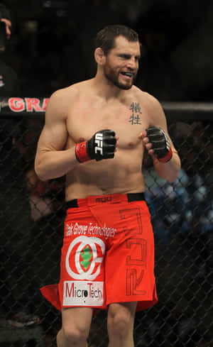 Джон Фитч стоит в октагоне UFC 141 — Xiaomi Pad Mini Шпалери