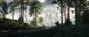 Ультраширокий лесной вид из відеоигры The Witcher 3. — 3440x1440 Шпалери
