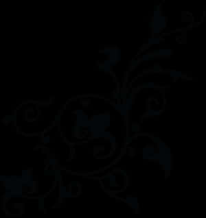 Квітковий Png чорно-білий - Квітковий Png чорно-білий, прозорий Png — Квітка GIF Шпалери