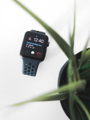 Обои с естетичным фото Apple Watch — Apple Watch Шпалери