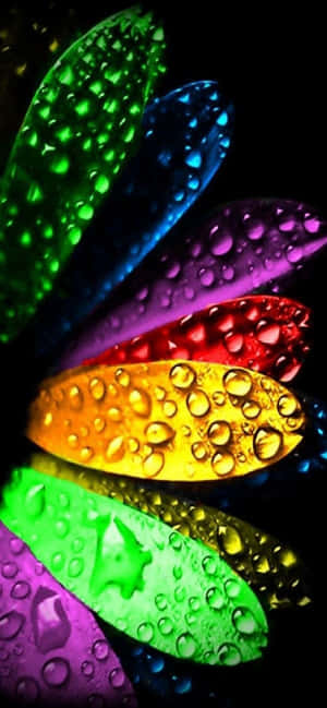 828x1792 — iPhone 13 Mini Шпалери