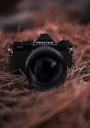 Фото чёрной камеры Pentax на обоях с птичьим гнездом. — Oppo Pad 6 Шпалери