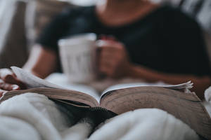 Затишна книжкова естетика шпалери