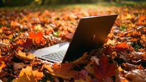 Chromebook серед яскравого осіннього листя у теплому сонячному світлі.