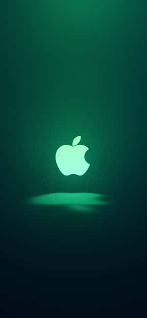 iPhone 11 Зеленый — Pixel 8 Шпалери