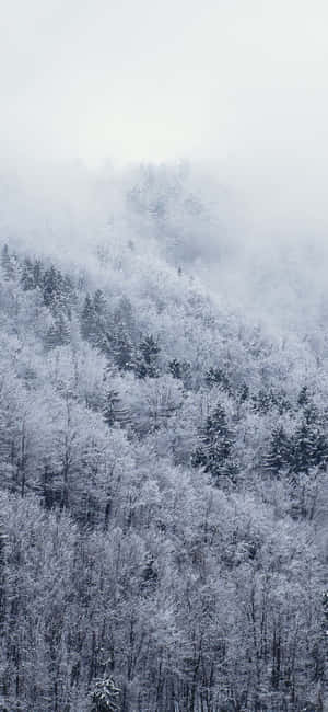 Snow iPhone — iPhone 18 Pro Max Шпалери