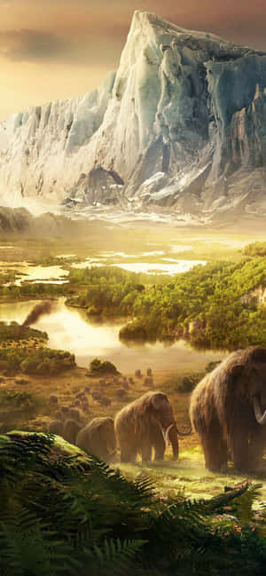 Iphone Xs Max Far Cry 4 Фон — Fairphone 5 Шпалери